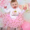 Mädchenkleider mein erstes Geburtstag Mädchen Geburtstagskleid süße rosa Tutu -Kuchen Outfits Säuglingsmädchen Taufe Kleidung Baby Prinzessin Kleid+BodySuit Set H240508