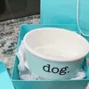 Bone China Dog Basin Bowl Pet Supplies Food Tableware Cat Feeding Water 240116