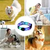 Dog Collars Night Light Collar Rechargeable Waterproof Glowing USB Weather Proof For Outdoor