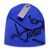 2024 New Knitted Hat Fashion Cap Popular Warm Windproof Stretch High-quality Beanie Hats P-5