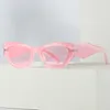 Moderna och personliga solglasögon för kvinnor Nya oregelbundna breda ben Fashionabla Internet Celebrity Street Photo Trendy Glasses
