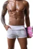 Underpants Vankaz Men's Briefs Youth Low Rise Sexy Boxers Home Shorts Polyester Quick-drying Double Pocket Arrows Pants