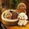 Stuffed Plush Animals New Lovely Curly Hair Teddy Dog Plush Toys Wears Collar Head Flower Teddy Dolls Stuffed Soft Toy Kids Birthday Gifts