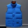 Gilet de créateur vêtements de sport pour hommes et femmes, gilet à la mode, matériau en plumes d'oie de luxe authentique, veste ample, veste à la mode et tendance Hqgri