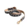 Twee lagen lederen halsbanden lijnen set klassiek bedrukt ontwerper huisdierhalsband zacht duurzaam kattenhalsband verstelbaar hondenmode