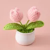 Fleurs décoratives tricotées à la main fleur artificielle créative finie Mini laine tricot tulipe Pot plantes ornements de bureau mariage décor à la maison