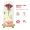 Fiori decorativi Cupola in vetro Lampada a fiori Luce rosa USB LED Stringa Base in legno Regalo notturno per San Valentino di nozze (Base in legno)