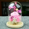 Bottles 4sets/pack 9 18cm Glass Dome Vase Home Decoration Different Optional Base Transparent Cover Friend Favor Gift Wedding Live Prop