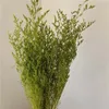 70g /35~42CM Real Natural Fresh Preserved Valentine Grass Flowers BouquetLove Grass Forever Plant Dancing Flower For Wedding 240117