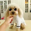 Pijama de buldogue francês com capuz, roupas para cães pequenos, chihuahua, roupão de banho, acessórios de fantasia, vestuário 240117