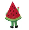 High Quality Custom Watermelon Mascot Costume Cartoon Character Outfit Suit Xmas Outdoor Party Festival Dress Promotional Advertising Clothings