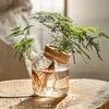 Vases Modern Vase With Cork Lid Home Decoration Tabletop Ornament Transparent Hydroponic Plant Vessel Creative Greenery Growing Bottle YQ240117