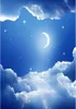 3d tak tapet väggmålningar fantasi 3d färsk blå himmel vit halvmåne stjärnor himmel zenith frescoes1135474