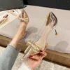 Sandals Fashion Sexy Party Wedding Golden Shoes Pearl PVC Transparent Women Pumps Autumn High Heels