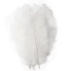 Plumes d'autruche 15-20 CM, 100 pièces, décoration de mariage, Plumage décoratif de fête, blanc, rouge, bleu, violet, disponible BJ