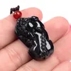 Hängen Myanmar Black Jadeite Pixiu Läs Jade Pendant Halsband Män kvinnor Fina smycken Burma Jades Feng Shui Charms Lucky Amulets