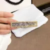 Hochwertige Brosche Pins Broschen Verschiedene neue Internet-Berühmtheit Frauen C Brosche Modedesigner Pins Quasten Perle Kristall Frau Accessoires