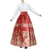 Rokken Lente en herfst Halve rok Hanfu-kleding Nationale stijl Paardengezicht geplooid ook voor meisjes