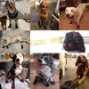 4pcsset spor köpek ayakkabıları büyük köpekler için evcil hayvan açık yağmur botları kaymaz köpek sporcuları supoof aksesuarları 240117