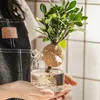 Vases Modern Vase With Cork Lid Home Decoration Tabletop Ornament Transparent Hydroponic Plant Vessel Creative Greenery Growing Bottle YQ240117