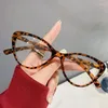 Lunettes de soleil Fashion Vintage Leopard Lunettes pour myopie Anti Blue Light Myopie Fini Cat Eye Moins Lunettes Dioptrie