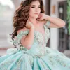 ロマンチックな花柄のビーズQuinceanera Dress 2024 Sweet 15 Dress Cocktail Vestidos De Baile Ball Gown Vestidos De 15 Quinceanera