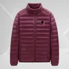 Northfaced jaqueta designer de luxo moda masculina puffer jaqueta qualidade superior para baixo leve curto quente pato branco versátil pai