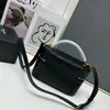 Guldspänne fårskinn 24 ny ros samma mini gaby 2024 ny mini gaby handväska dubbel blixtlås designer väska axel crossbody väska lady clutch stora yl z12448