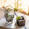 Vases Nordic Glass Vase with Wooden Base for Hydroponic Flowers Artificial Dried Flowers Living Room Office Desk Terrarium Decoration YQ240117