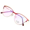 Sunglasses Frames Women Cat Eye Glasses Frame Fashion Optical Eyeglasses Butterfly Style Leisure Spectacles 8502