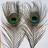 エレガントな装飾的な素材装飾的な羽毛美しい羽毛25〜35 cmの斬新なアイテム4149