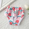 Dog Apparel Cute Pets Diaper Pet Physiological Pants Washable Female Briefs Diapers Sanitary Short Panties Dogs