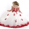 New Design Ball Gown Net Baby Girl Birthday Party Christmas Princess Dresses Children Girl Party Dresses Flower Girl Dresses311p