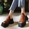 Hausschuhe 2024 Sommer Frauen Offene spitze Plattform Leder Sandalen Chunky Heel Hohe Gladiator Römischen frauen Plissee