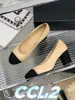 Dress Shoes Small Fragrance Single Shoe Women Fall Thick Heels Leather Color Commuter Wind High