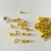 Decorative Flowers 200 Pcs Floral Stamen Flower Making Buds Sunflower Stamens Manual For Artificial