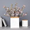 Decorative Flowers Simulation Eucalyptus Branch Durable Leaves Easy Care Background Decor