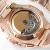 Orologio da uomo di lusso P P Orologio da uomo resistente all'acqua con data di design Cassa in oro rosa Corona a vite Bule Cinturino in alligatore marrone scuro opaco Acciaio 904l