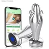 Outros itens de beleza para saúde APP Vibratório Metal Plug Anal Vibrador Aço Inoxidável Butt Plug para Mulheres Homens À Prova D 'Água Gay Anal para Homens Q240117