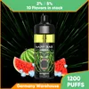 EU Hot Sale 12000 Plus Puffs Disposable Vape Pen E Cigarette Kits 2% 5% Mesh Coil 16ml Eliquid Pod 650mAh Battery Rechargeable Vapers