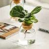 Vases Modern Vase With Cork Lid Home Decoration Tabletop Ornament Transparent Hydroponic Plant Vessel Creative Greenery Growing Bottle YQ240117