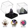 Smycken påsar 12 st mineralstandard displaybox transparent prov