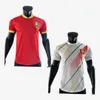 2024 Guinea Soccer Jerseys GUIRASSY BAYO GUILAVOGUI KAMANO KEITA MORIBA M.DIAKHABY 23 24 25 Home away White red Football Shirts 2025 fans player version Uniforms S-2XL