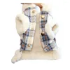 Hundebekleidung, Haustierkleidung, farbenfrohe, stilvolle Weste mit Karomuster für warmes Wetter, warmer Wintermantel für Katzen, niedliche bequeme Kleidung