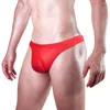 Slip de bikini en soie glacée pour hommes, sous-vêtements transparents, pochette bombée, doux et extensible, lingerie Peni Thong