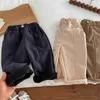 Pantaloni 2023 inverno nuovo velluto a velluto a velluto più velluto ragazze spesse per neonati pantaloni harem sciolti ldren pile calde pantaloni casual h240508