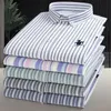 5xl Spring och Autumn Oxford 100% Cotton Mens Shirt Långärmning som inte är järn.