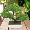 Dekorativa blommor Bonsai Tree Simulation Welcome Pine House Plants Fake Decor Plastic Desk Decorations