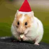 Vêtements pour chiens petits animaux casquettes vêtements de cochon d'Inde costume de hamster chapeau de Noël pour animaux de compagnie avec écharpe et