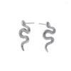 スタッドイヤリングダークヒップホップパンクの年ヘビの形状男性と女性のためのユニークな誇張された無色のアクセサリー